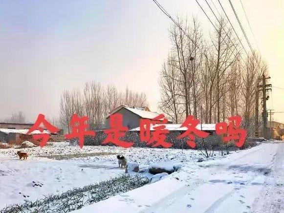 来袭暴雪大暴雪范围已确认河南成为中心AG旗舰厅平台2025年第一场寒潮(图7)